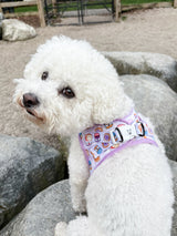 Step-In Dog Harness - Peanut Butter Jelly