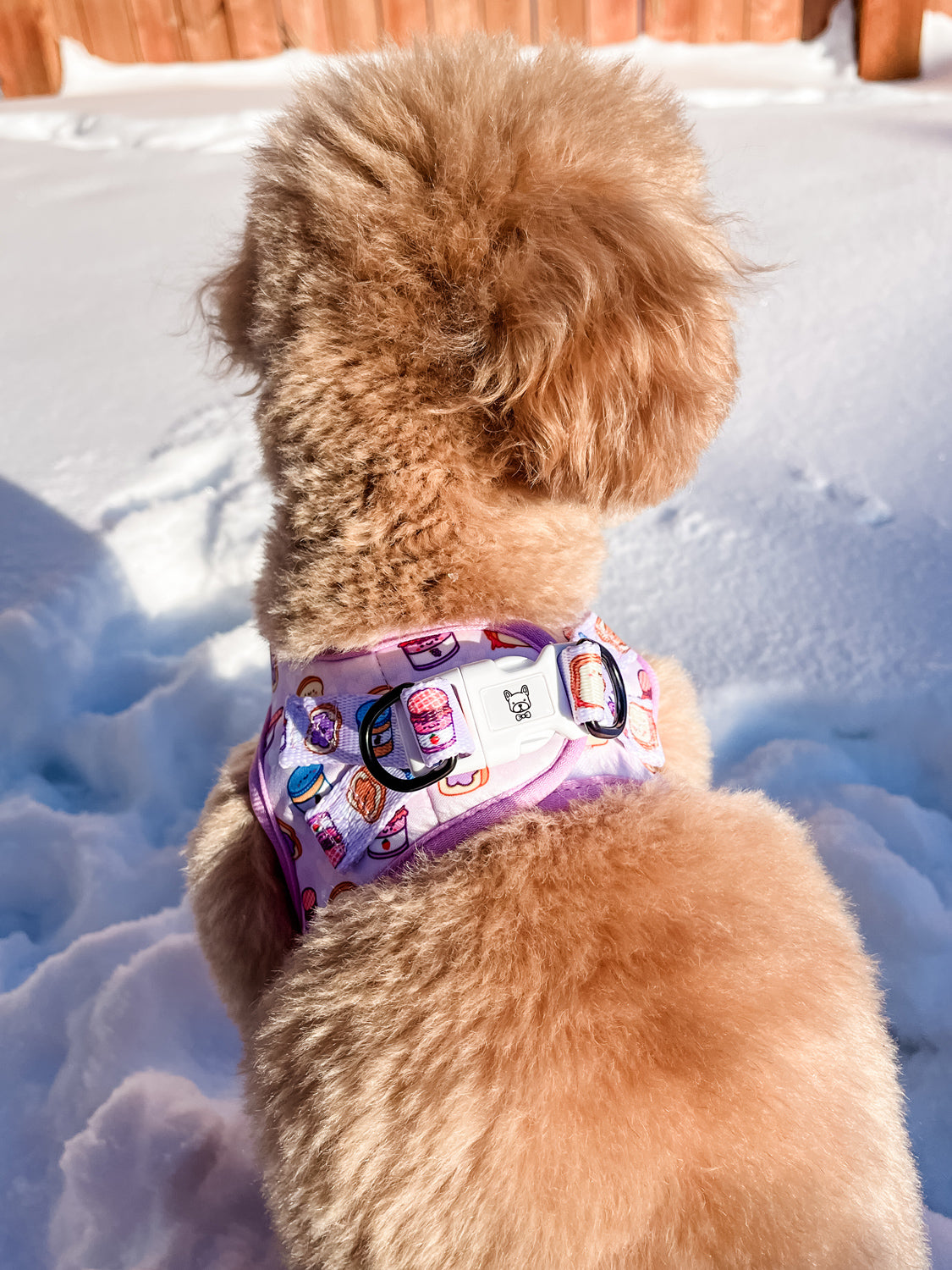 Step-In Dog Harness - Peanut Butter Jelly