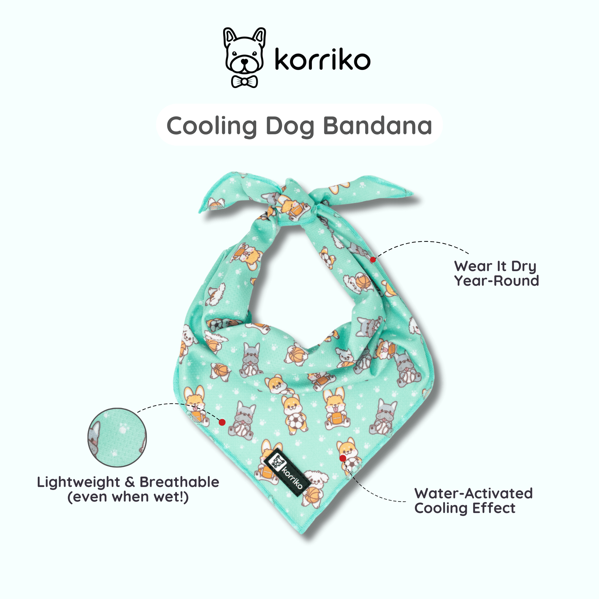 Ultimate Collar Bundle Set - Dream Team (5-Piece) (Final Sale)