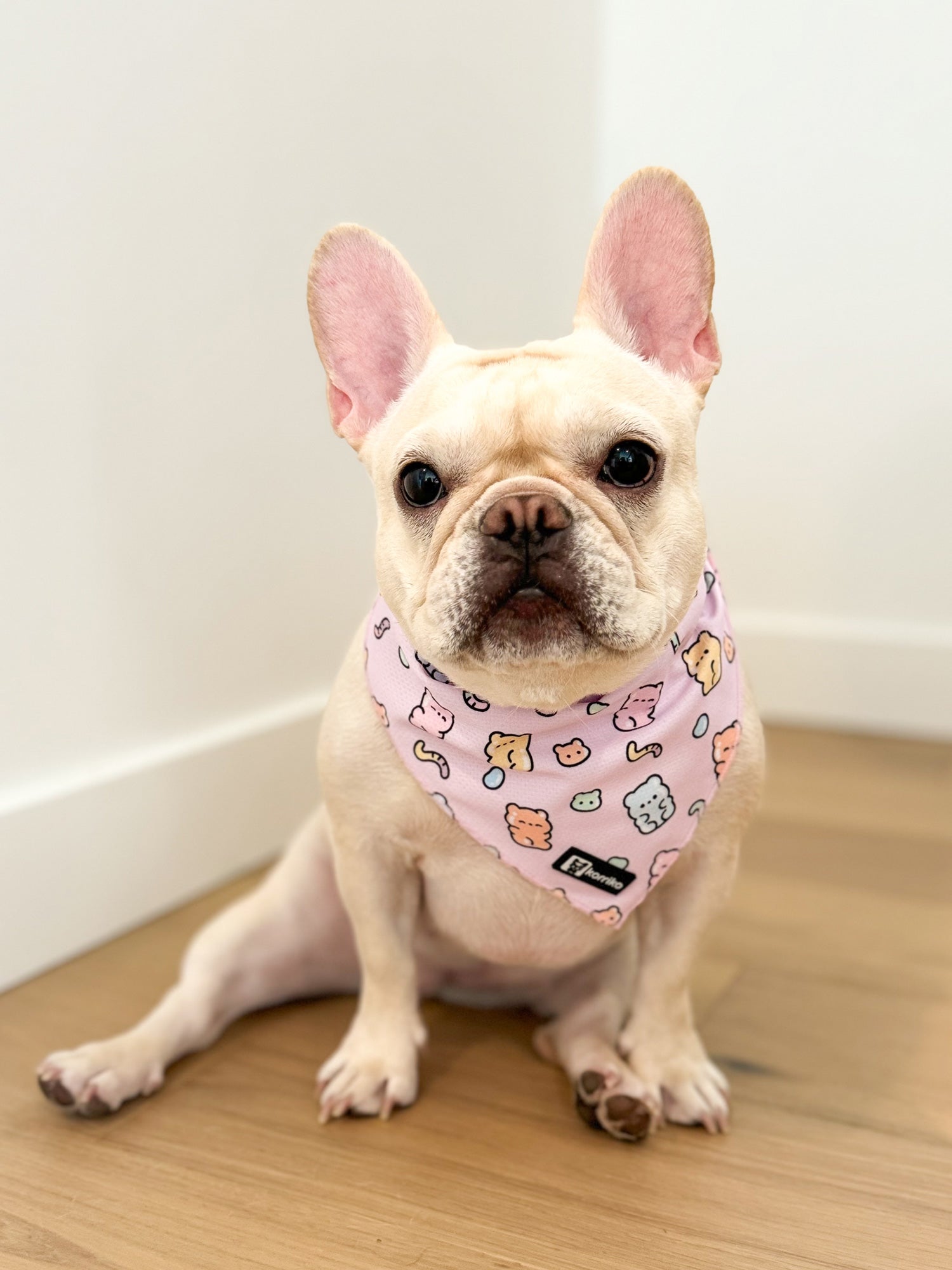 Ultimate Adjustable Harness Bundle Set - Gummy Bear (6-Piece)