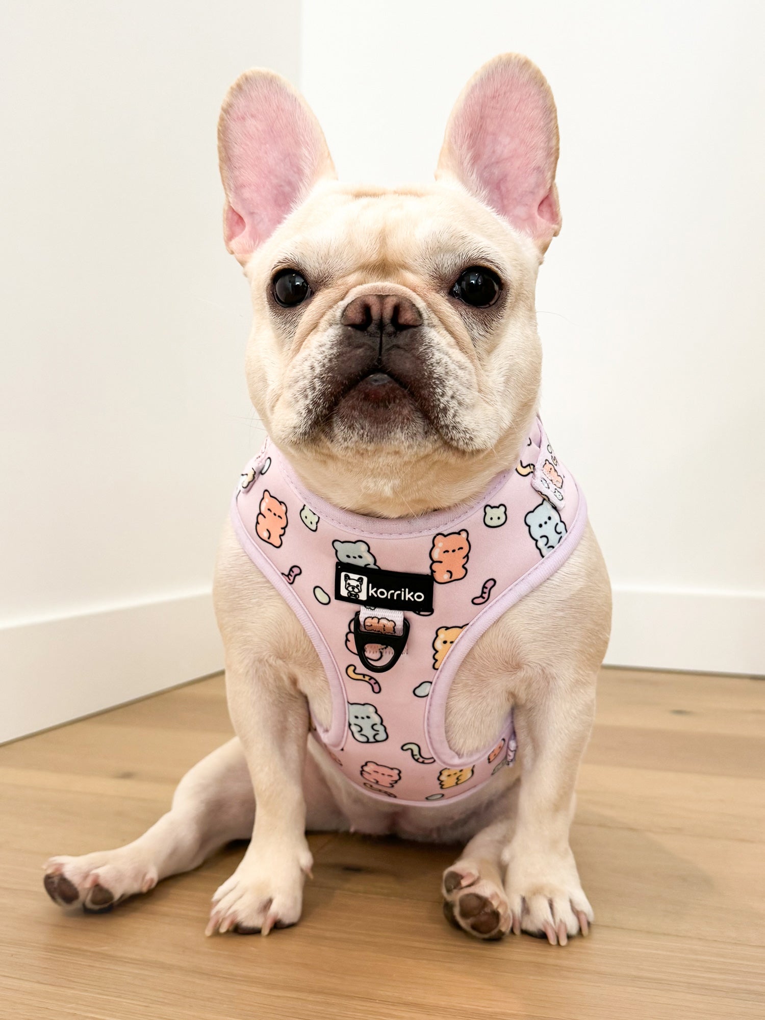 Adjustable Dog Harness - Gummy Bear (SECONDS - FINAL SALE)