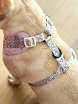 Adjustable Dog Harness - Gummy Bear (SECONDS - FINAL SALE)
