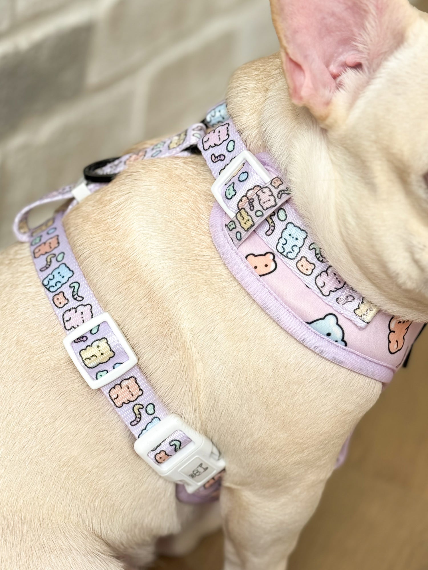 Adjustable Dog Harness - Gummy Bear (SECONDS - FINAL SALE)