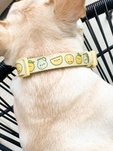 Ultimate Collar Bundle Set - Lemonade (5-Piece)