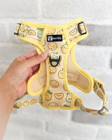 Exploration Lite No-Pull Dog Harness - Lemonade