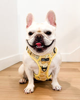 Exploration Lite No-Pull Dog Harness - Lemonade