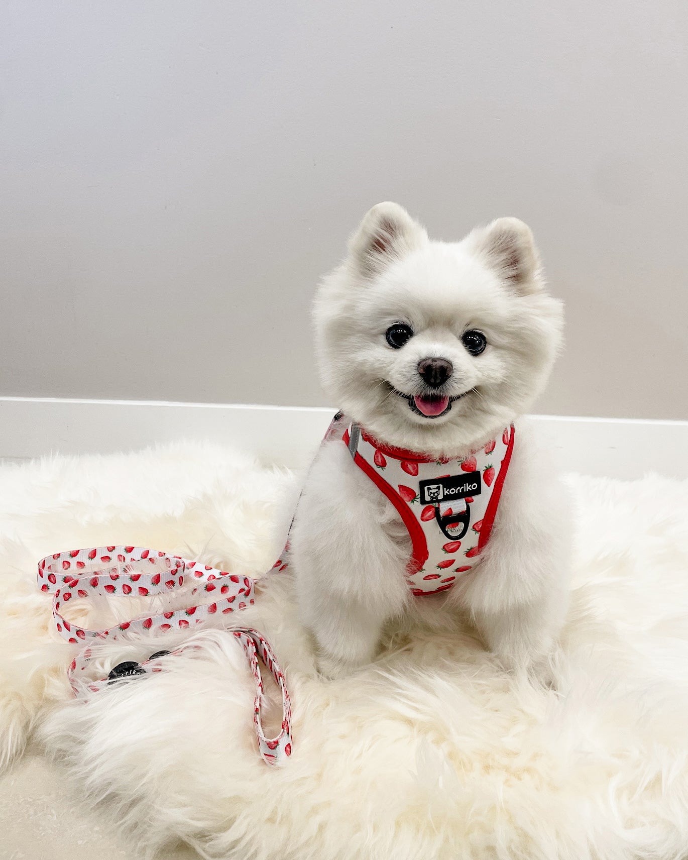 Step-In Dog Harness - Strawberries & Cream