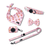 Ultimate Collar Bundle Set - Taro Milk Tea (5-Piece)