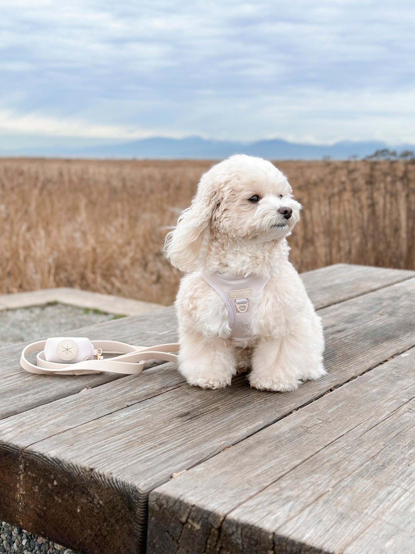 Step-In Dog Harness - Almond Nude (Final Sale)