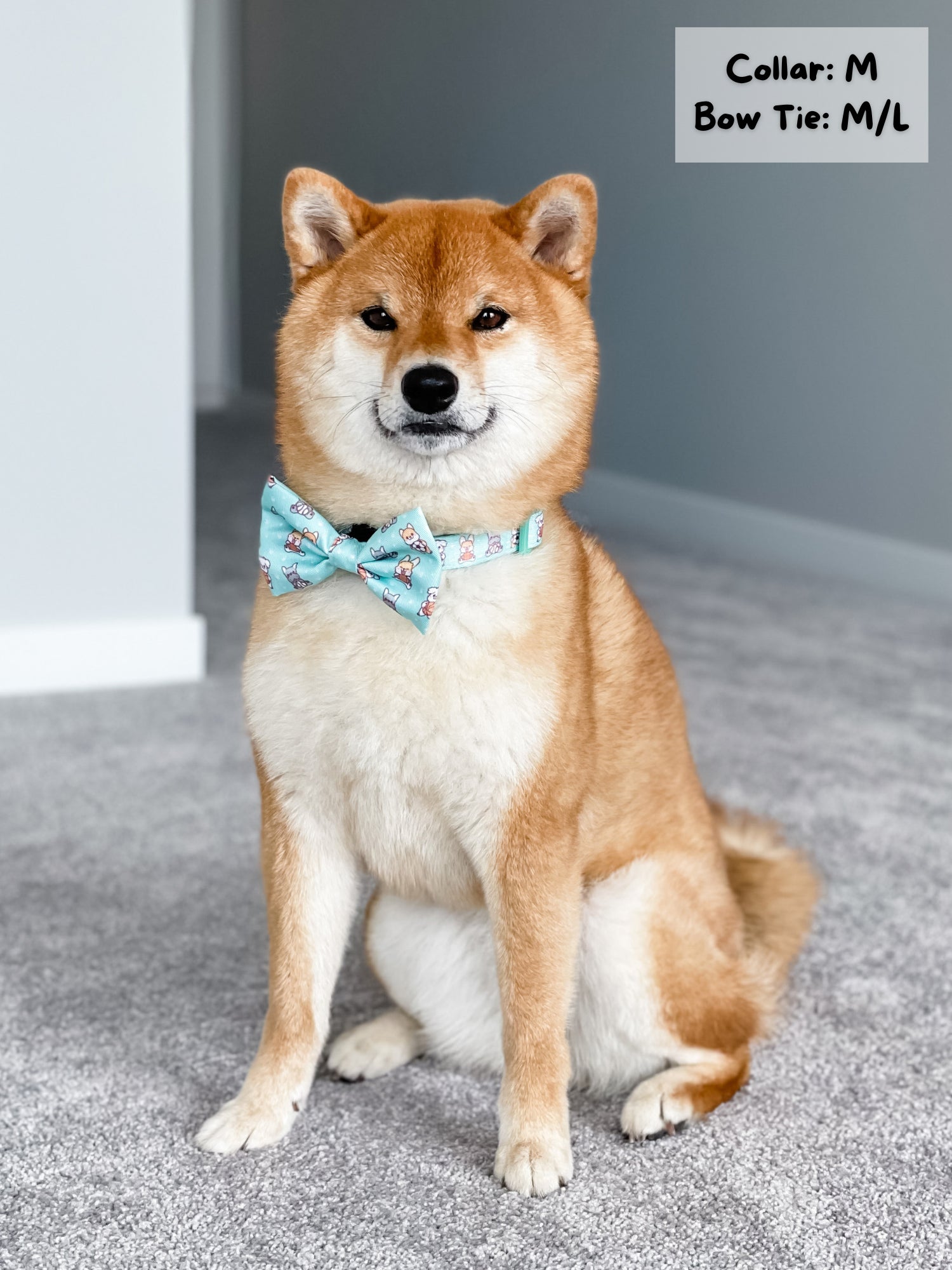 Dog Collar - Dream Team (Final Sale)