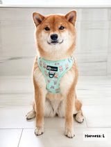Adjustable Dog Harness - Dream Team (Final Sale)