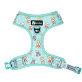 Adjustable Dog Harness - Dream Team (Final Sale)