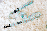 Dog Leash - Dream Team (Final Sale)