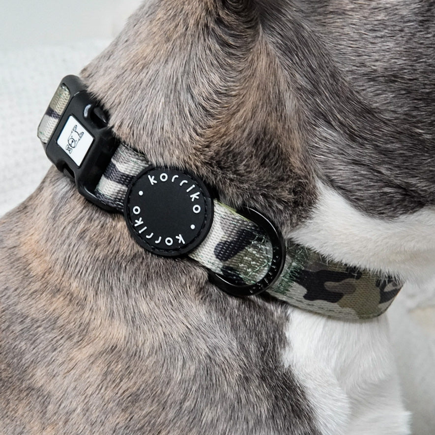 Dog Collar - Green Camo (Final Sale)