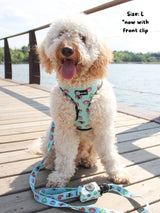 Adjustable Dog Harness - Sushi (SECONDS - FINAL SALE)
