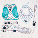 Dog Leash - Feel The Love (Final Sale)