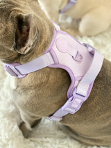 Exploration Lite No-Pull Dog Harness - Lilac (Final Sale)