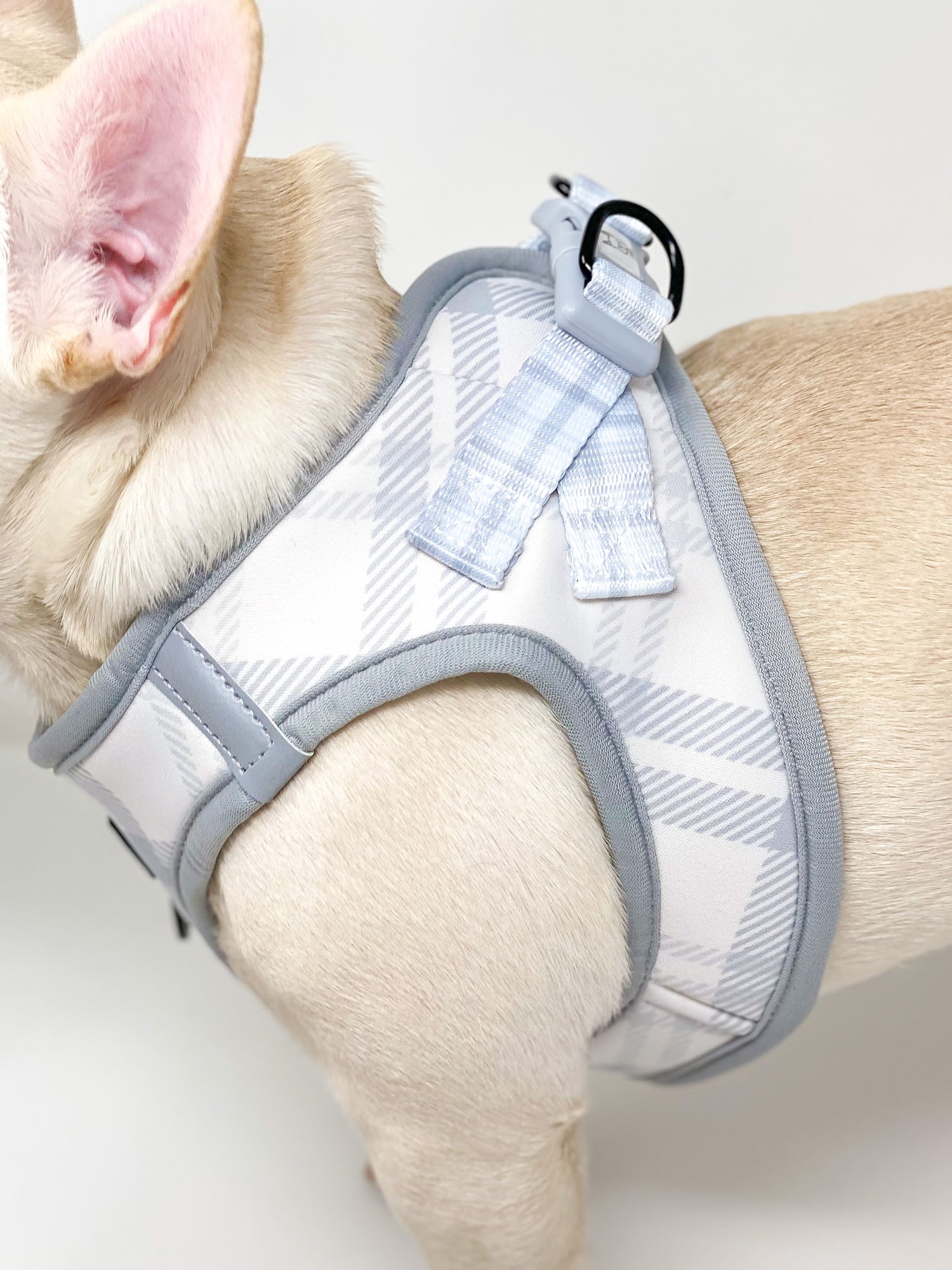 Step-In Dog Harness - Park City Plaid (Final Sale)