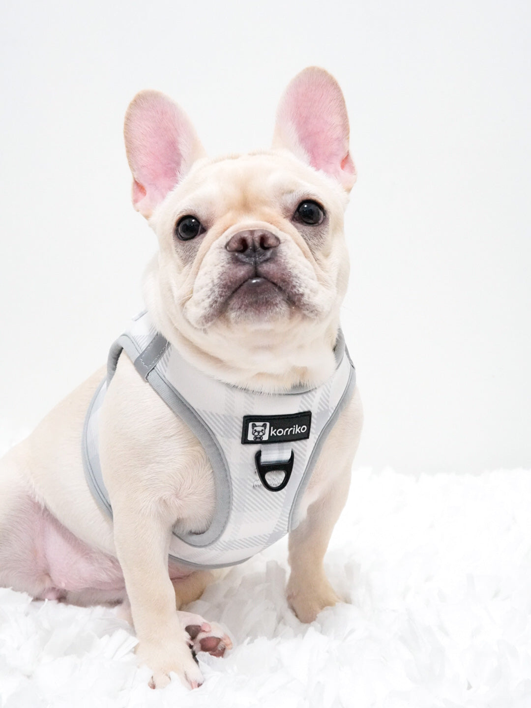 Step-In Dog Harness - Park City Plaid (Final Sale)