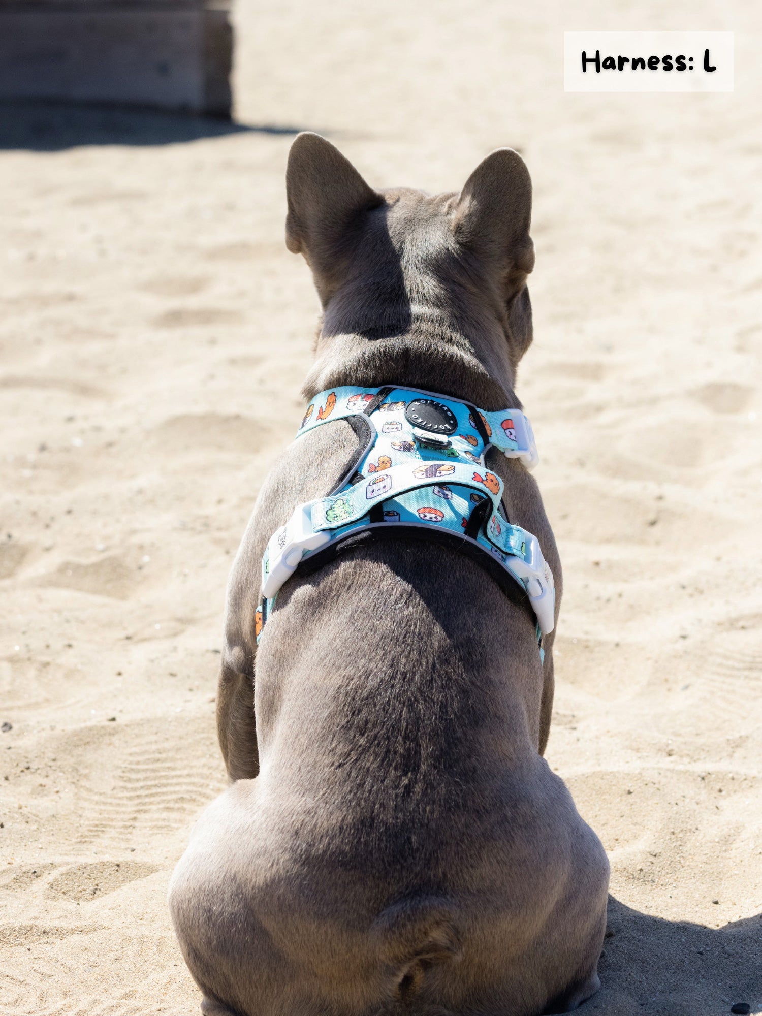 Exploration Lite No-Pull Dog Harness - Sushi