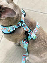 Adjustable Dog Harness - Sushi (SECONDS - FINAL SALE)