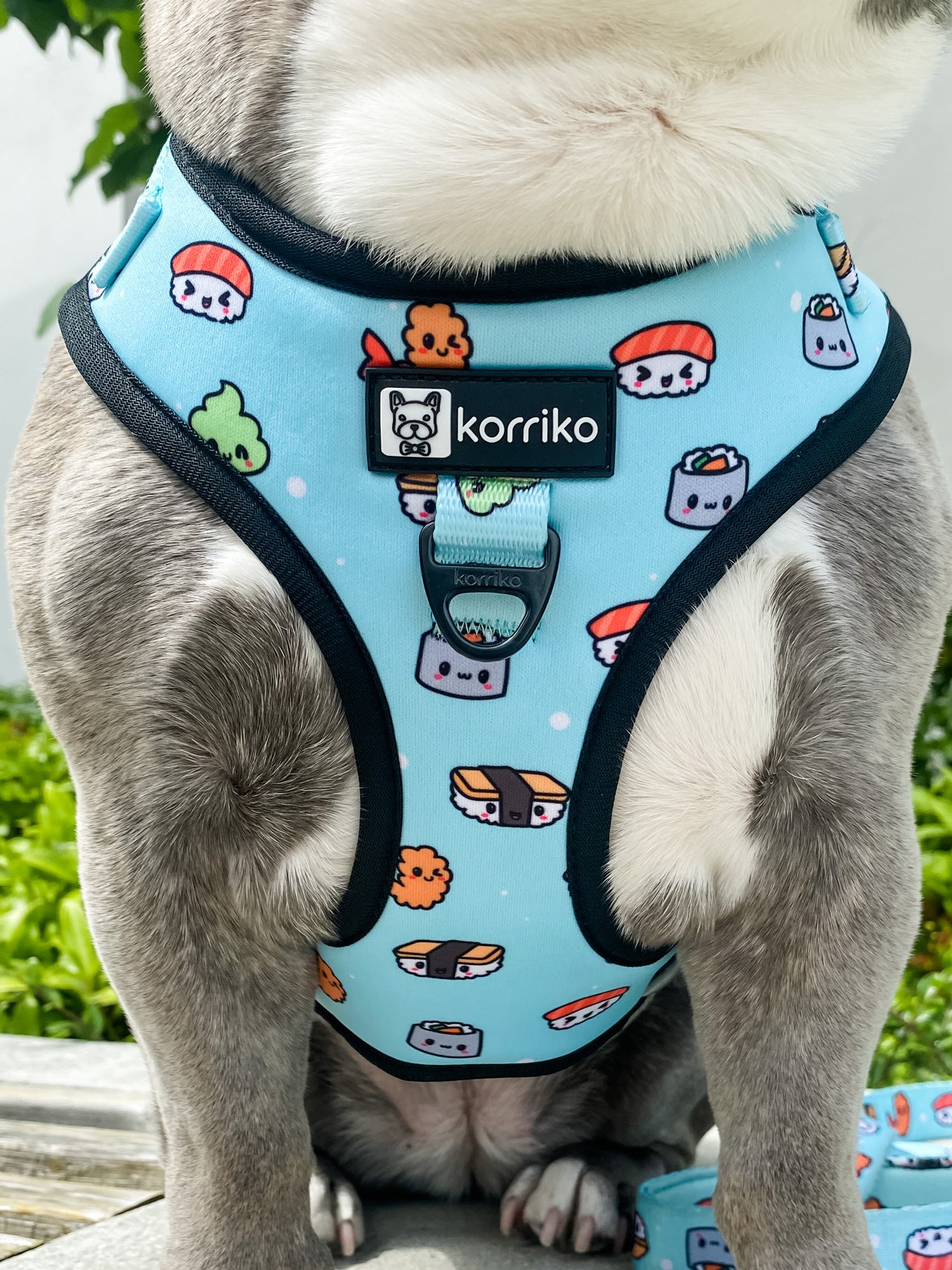 Adjustable Dog Harness - Sushi (SECONDS - FINAL SALE)