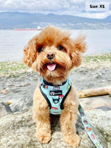 Adjustable Dog Harness - Sushi (SECONDS - FINAL SALE)