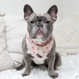 Cooling Dog Bandana - Coffee Break (Final Sale)