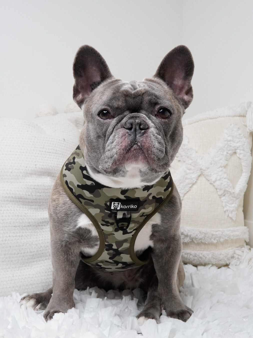 Classic No-Pull Dog Harness - Green Camo (Final Sale)