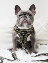 Classic No-Pull Dog Harness - Green Camo (Final Sale)