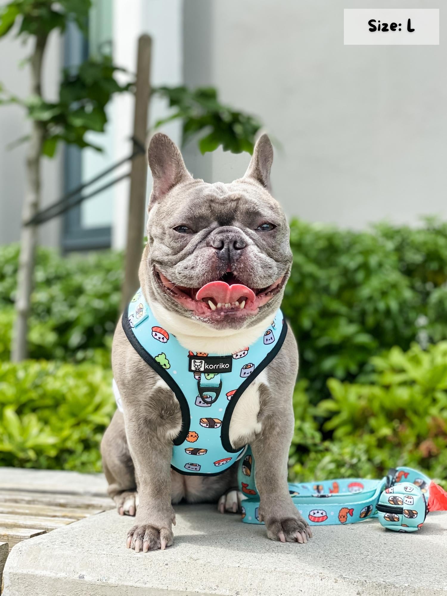 Adjustable Dog Harness - Sushi (SECONDS - FINAL SALE)