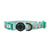 Dog Collar - Dream Team (SECONDS - FINAL SALE)