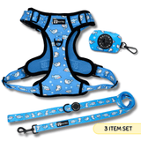 Essential Exploration No-Pull Harness Walk Set - Shark (3-Piece)