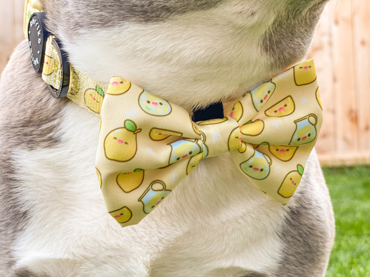 Ultimate Collar Bundle Set - Lemonade (5-Piece)
