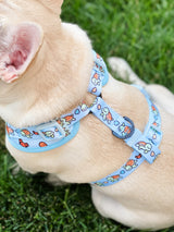 Essential Adjustable Harness Walk Set - Under The Sea (3-Piece)