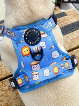 Essential Exploration No-Pull Harness Walk Set - S'mores (3-Piece)