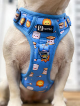Essential Exploration No-Pull Harness Walk Set - S'mores (3-Piece)