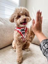 Step-In Dog Harness - Strawberries & Cream