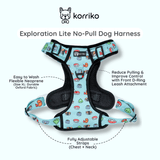 Starter Bundle - Exploration No-Pull Harness - Sushi (3-Piece)