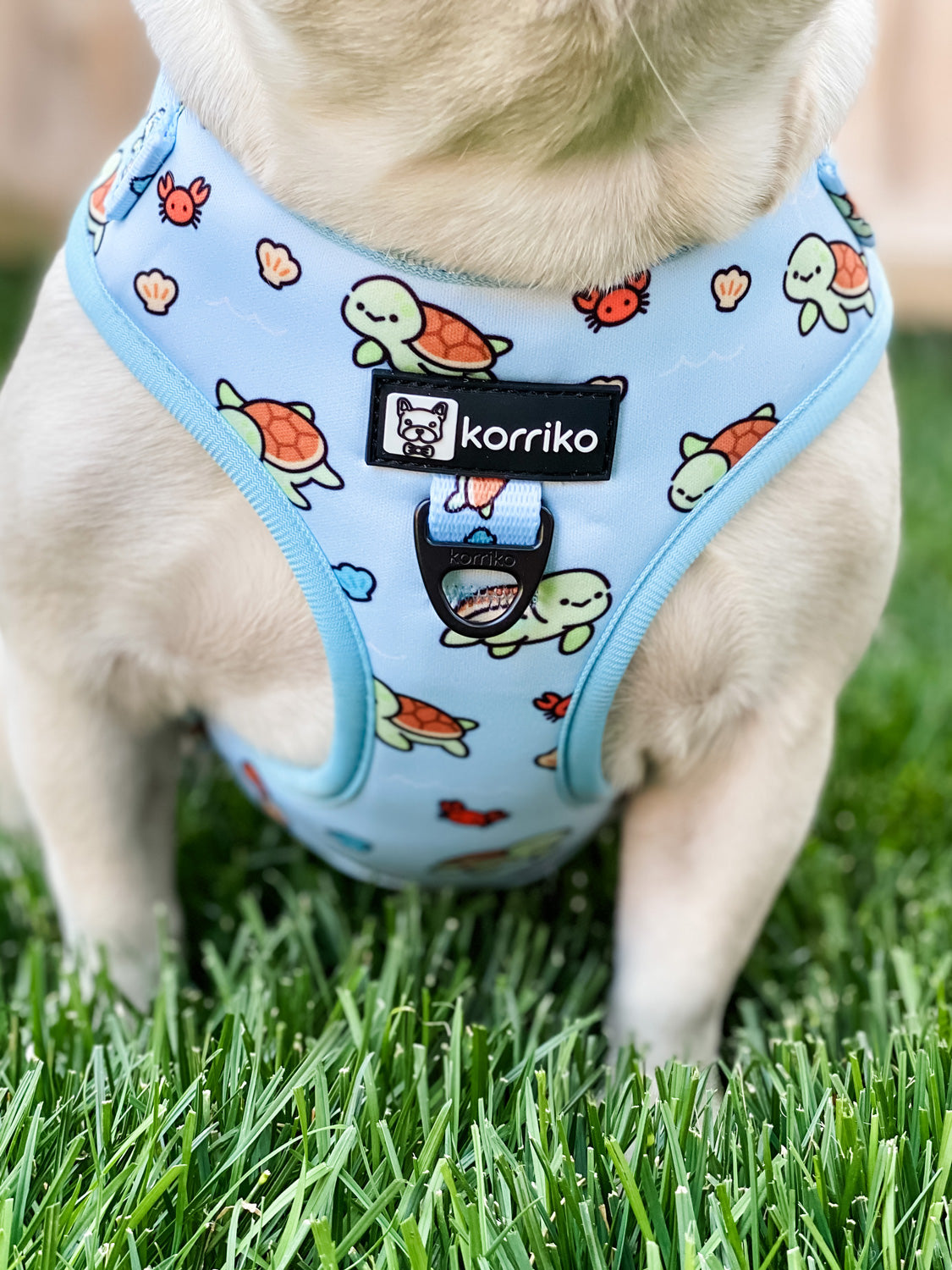 Essential Adjustable Harness Walk Set - Under The Sea (3-Piece)