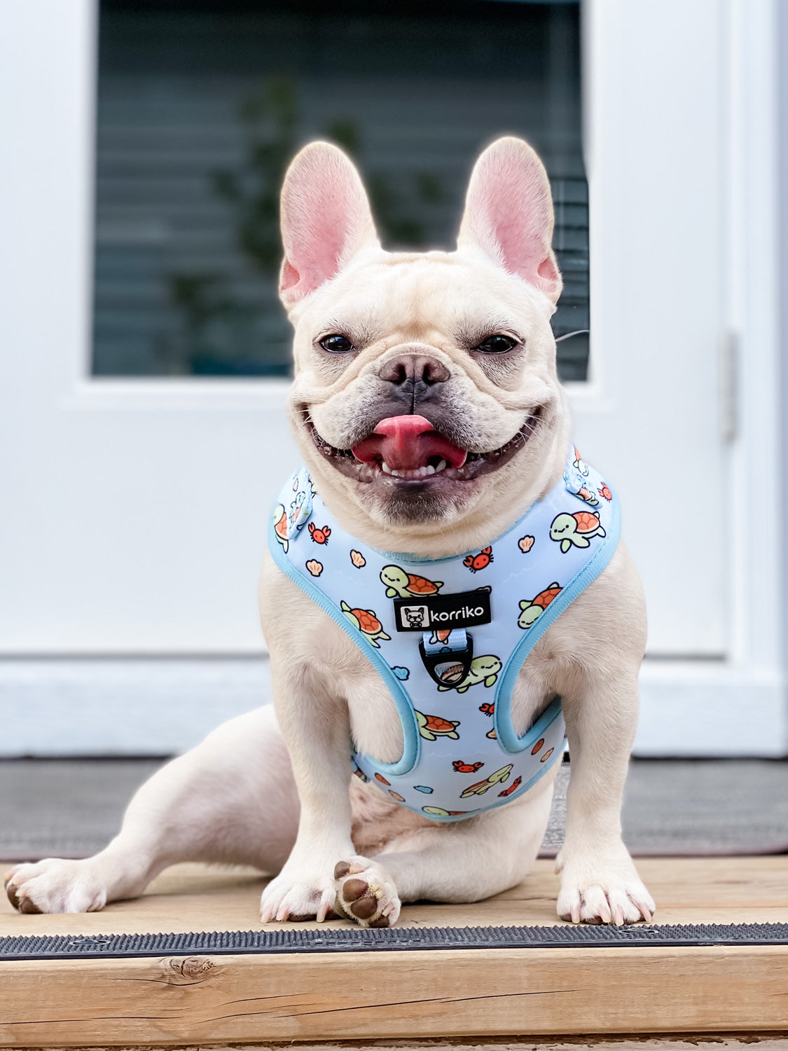 Essential Adjustable Harness Walk Set - Under The Sea (3-Piece)