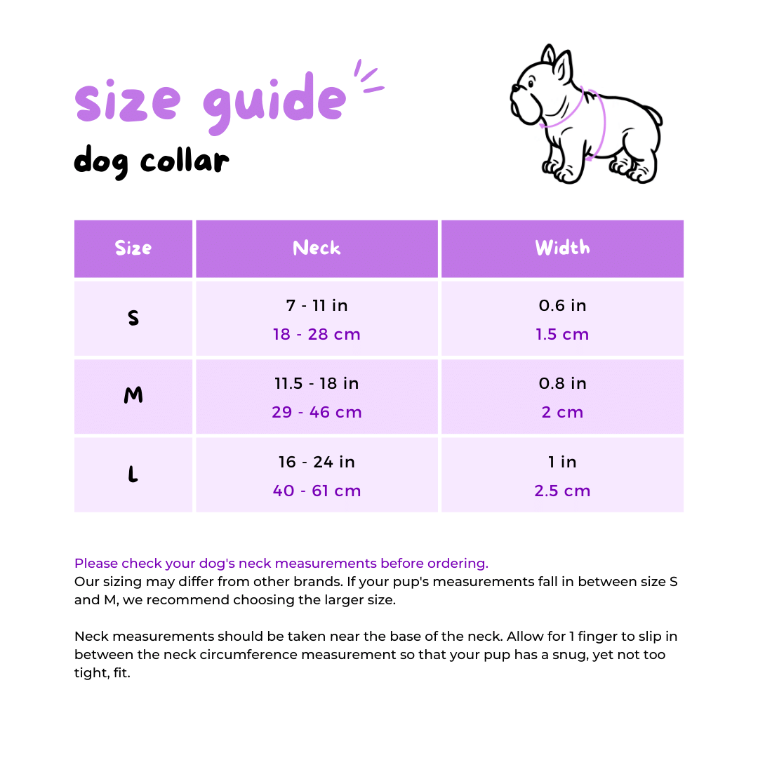 Dog Collar - Thanks A Brunch (SECONDS - FINAL SALE)