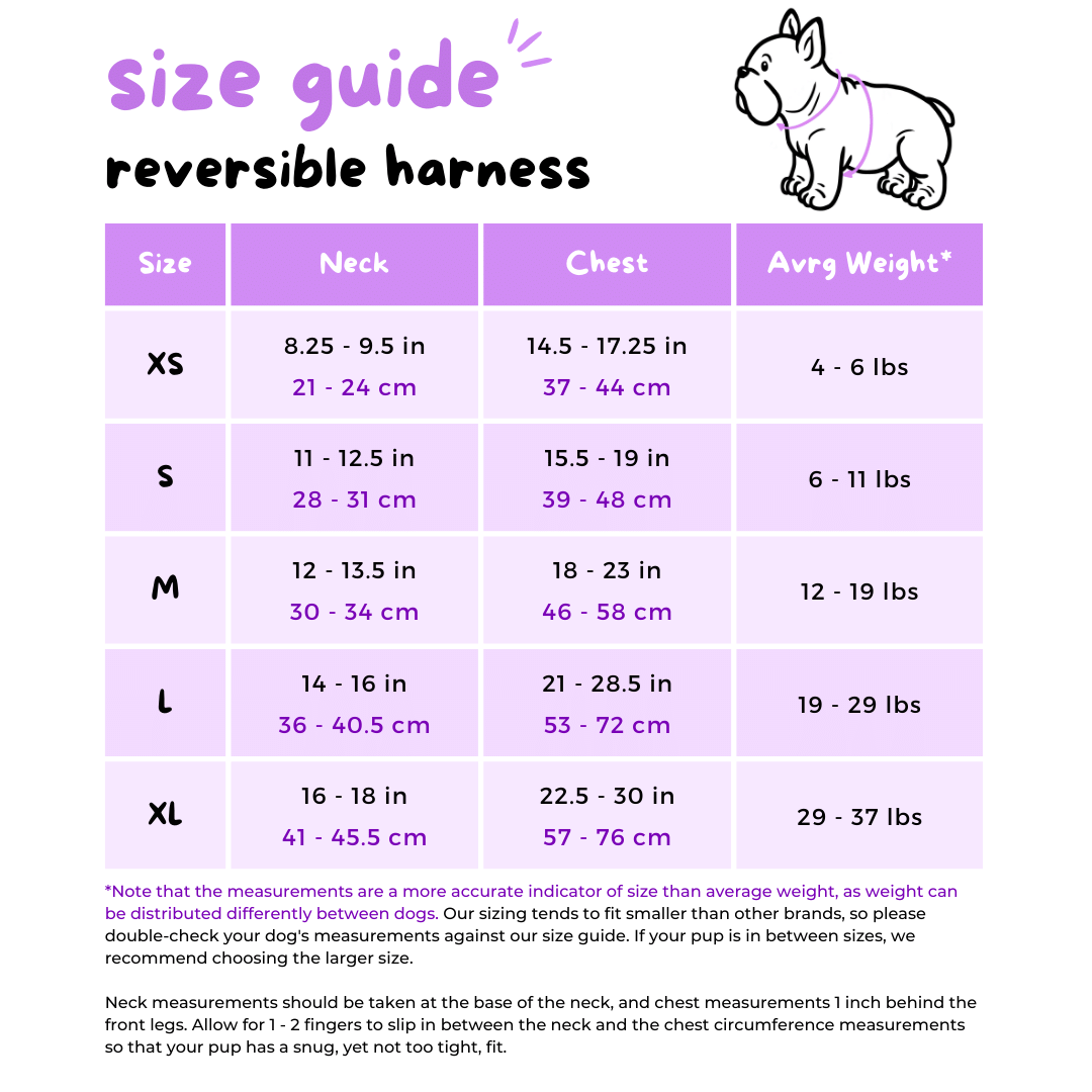Reversible Dog Harness - Milky Way (SECONDS - FINAL SALE)