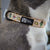 Dog Collar - Taco Fiesta (Blue Paw Co. - FINAL SALE)
