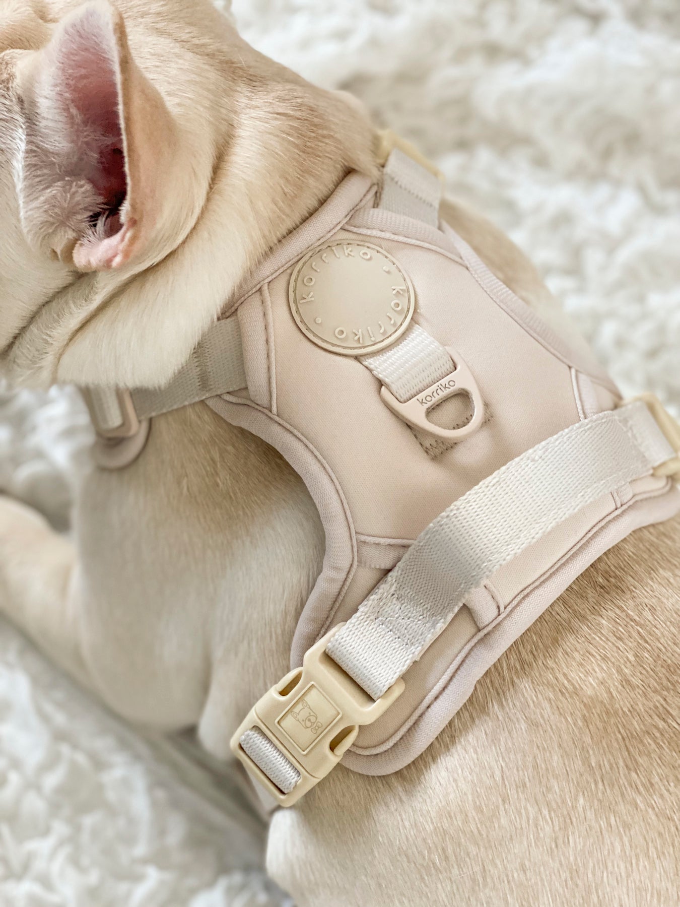 Exploration Lite No-Pull Dog Harness - Almond Nude