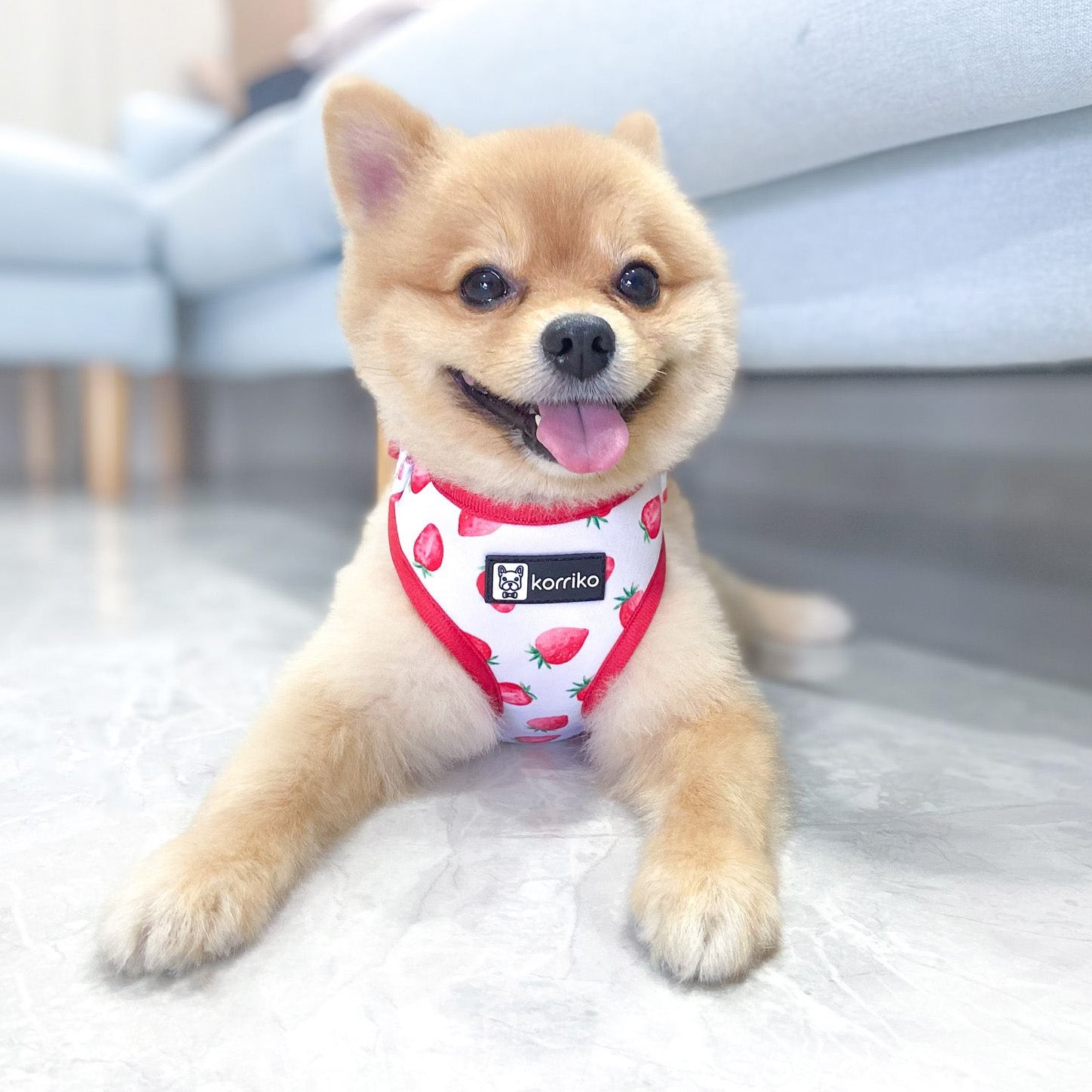 Adjustable Dog Harness - Strawberries & Cream