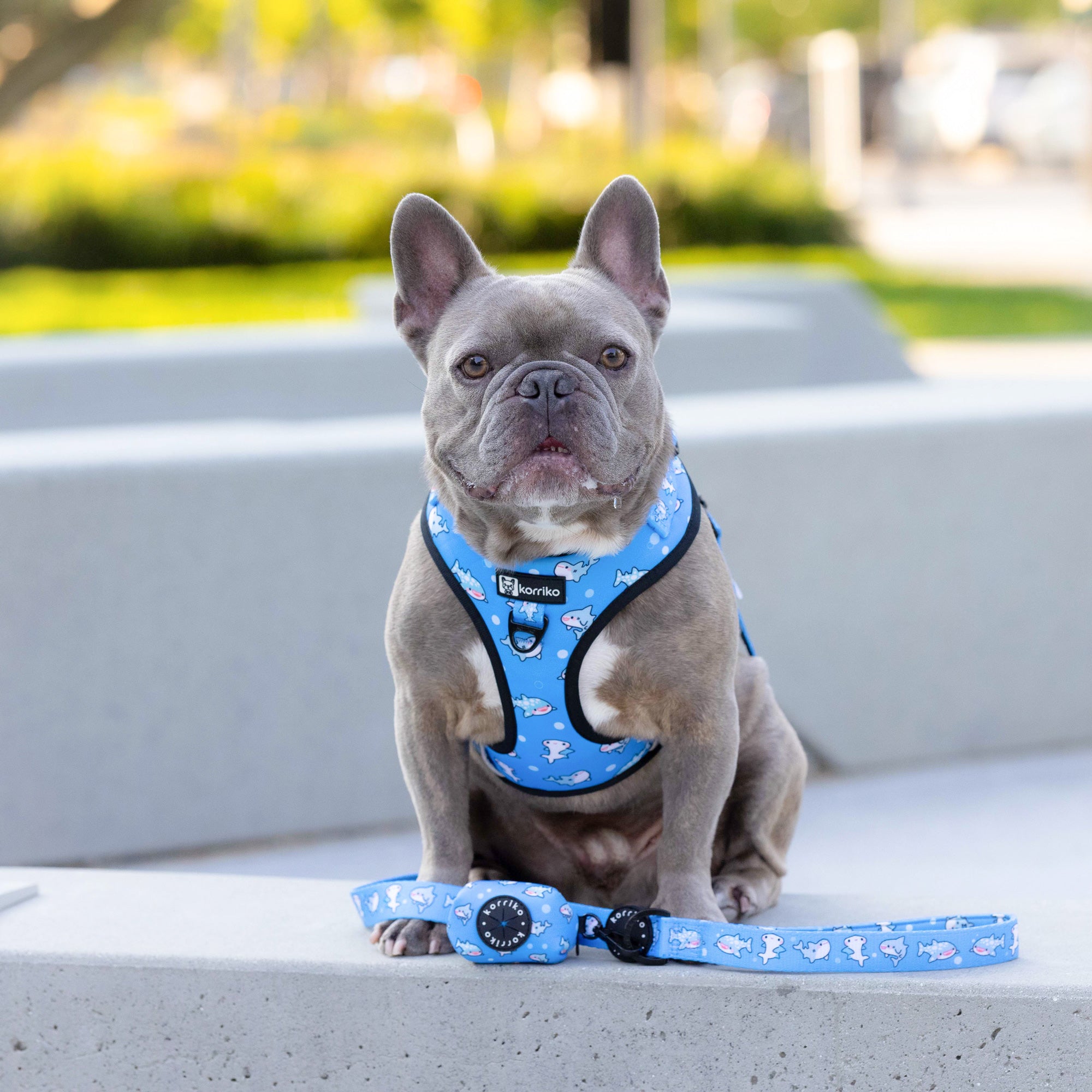 Poop Bag Dispenser - Shark