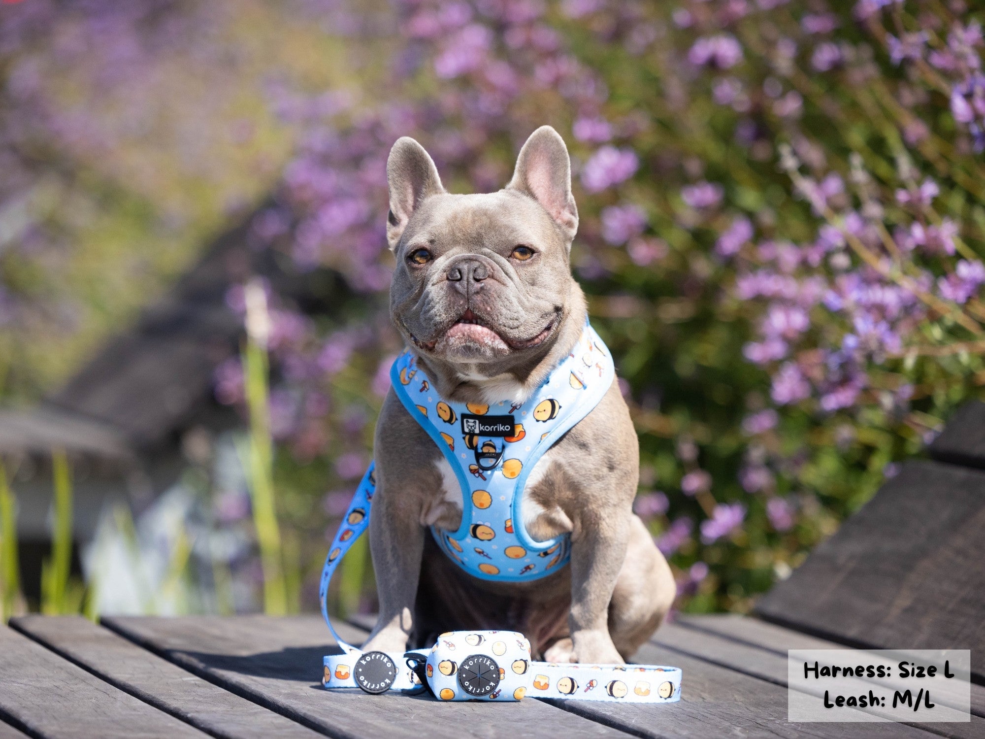 Adjustable Dog Harness - HoneyBee