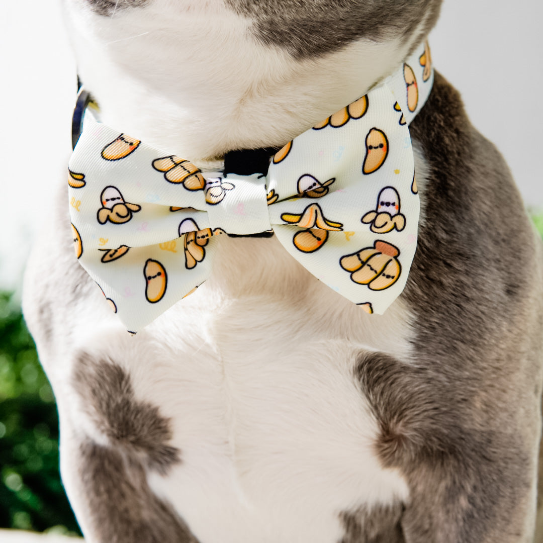 Dog Bow Tie - Go Bananas