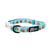 Dog Collar - Cheat Day (Blue Paw Co. - FINAL SALE)